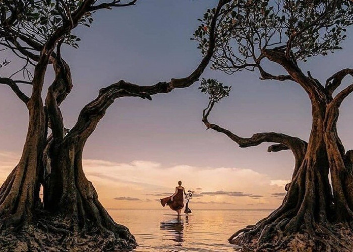 Nggak Cuma Seru! Inilah Pesona Unik Pantai Walaikiri Sumba yang Wajib Kamu Kunjungi