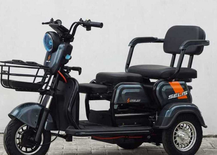 Motor Listrik Selis Borneo Cuma Rp 9 Juta, Bisa Buat Dagang Sampai Jalan-Jalan!