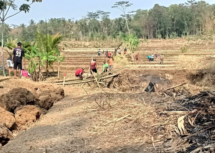 Jalan Diponegoro Selanegara Banyumas Dibuka Lagi, Warga Gotong Royong Lebarkan Akses