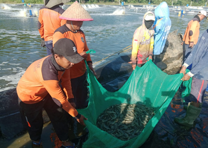 Lahan Tidur di Nusakambangan Disulap Jadi Kawasan Produktif
