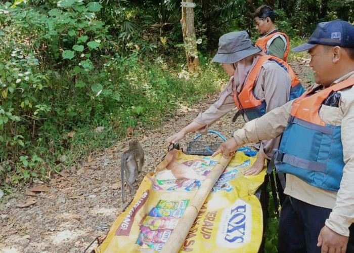 Tujuh Satwa Liar Dilepasliarkan di Kawasan Cagar Alam Nusakambangan Timur