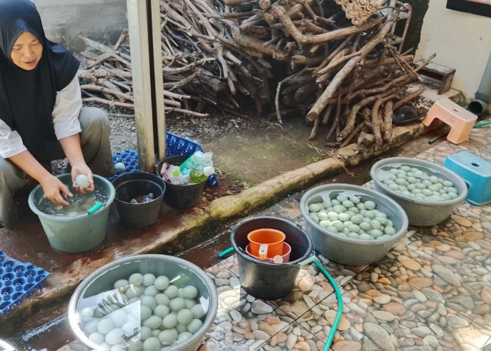 Telur Asin Watuagung Banyumas Tembus Mancanegara, Kualitas Dijaga Meski Pesanan Terpaksa Ditolak