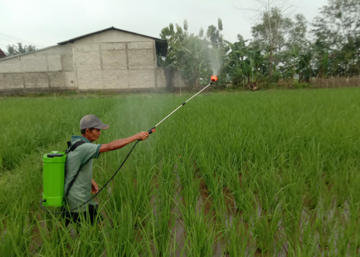 Aplikasi Biosaka Diminati Petani Banyumas