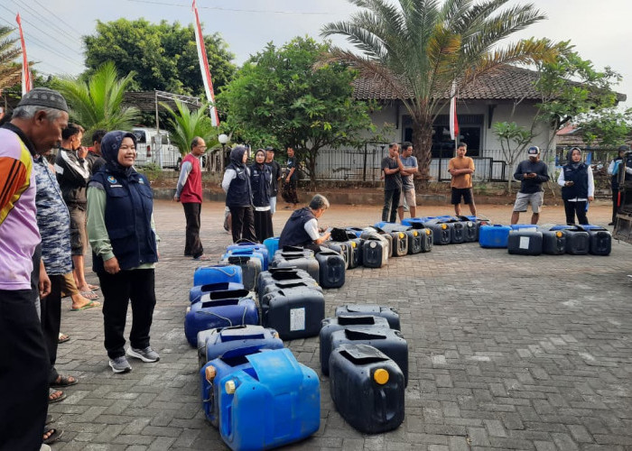 8 Pokdakan di Purbalingga Terima Bantuan 160 Ribu Benih Lele Sangkuriang Dua