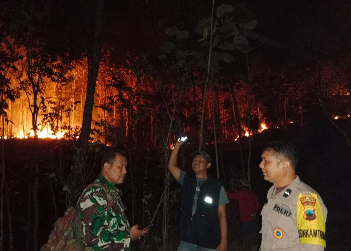 7 Hektar Lahan dan Hutan di Cilongok Hangus Terbakar