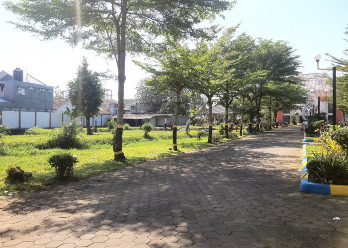 Seniman Banyumas Usul KDMP di Soetedja Bernuansa Budaya, Lokasi Pembangunan Diminta Geser ke Sisi Utara
