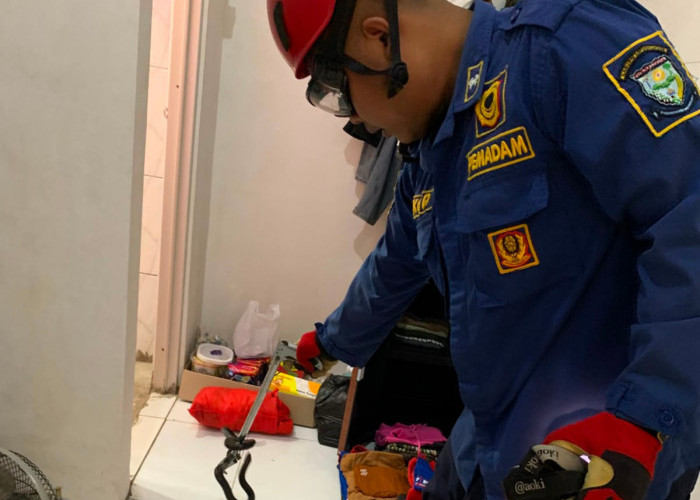 Ular Kobra Masuk Lemari Pakaian Warga di Kandanggampang, Damkar Purbalingga Berhasil Evakuasi