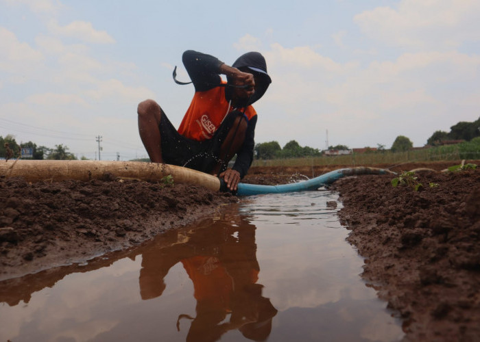 Wilayah Terdampak Krisis Air Bersih di Banyumas Terus Bertambah, Kemarau Diprediksi hingga Akhir Oktober