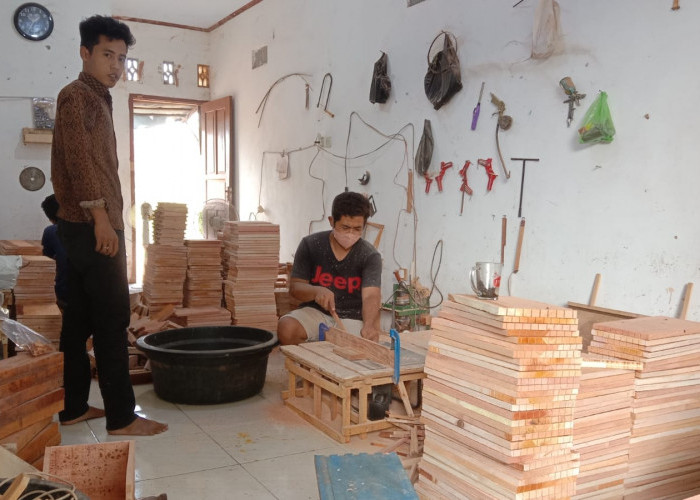 Usaha Peternakan Lebah Madu di Kebumen Kembali Menggeliat