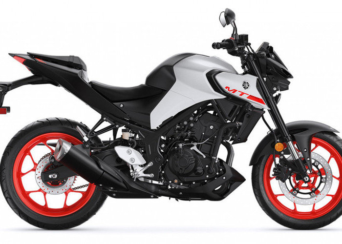 Simulasi Kredit Motor Yamaha MT-25 di OTO Finance, Cicilan per Bulan Murah Cuma Rp 700 Ribuan