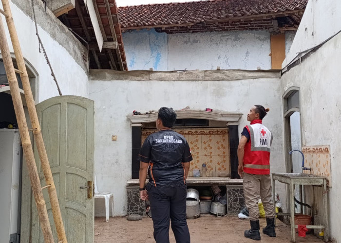 Cuaca Ekstrem Terjang Banjarnegara, Rumah Ambruk dan Pohon Tumbang Lumpuhkan Akses Jalan