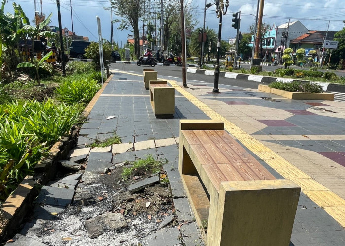 Taman Persimpangan Bluemoon Kurang Terawat, DLH Akui Kekurangan Personel Penjagaan