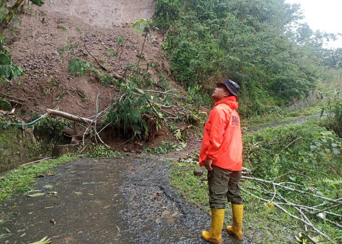 Hujan Deras Picu Longsor di Pandanarum, Akses Jalan Terputus dan Rumah Warga Rusak
