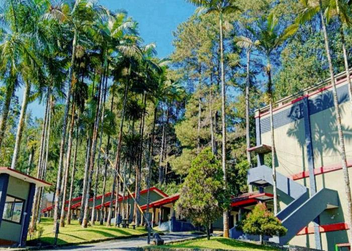 Rekomendasi 5 Hotel Murah di Baturaden yang Sajikan Pemandangan Indah, Destinasi Terbaik untuk Bersantai!