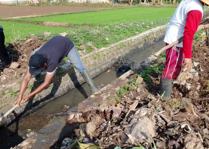 Saluran Irigasi 68 Hektare Sawah di Banyumas Dibersihkan, Sampah Plastik dan Sedimen Picu Risiko Sumbatan