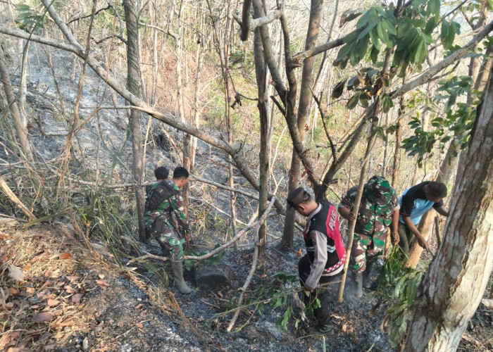 Empat Kebakaran Dalam Satu Hari, Warga Kebumen Diminta Waspada