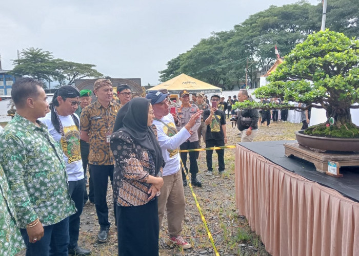 Pameran Bonsai Penggerak Ekonomi Baru di Banjarnegara