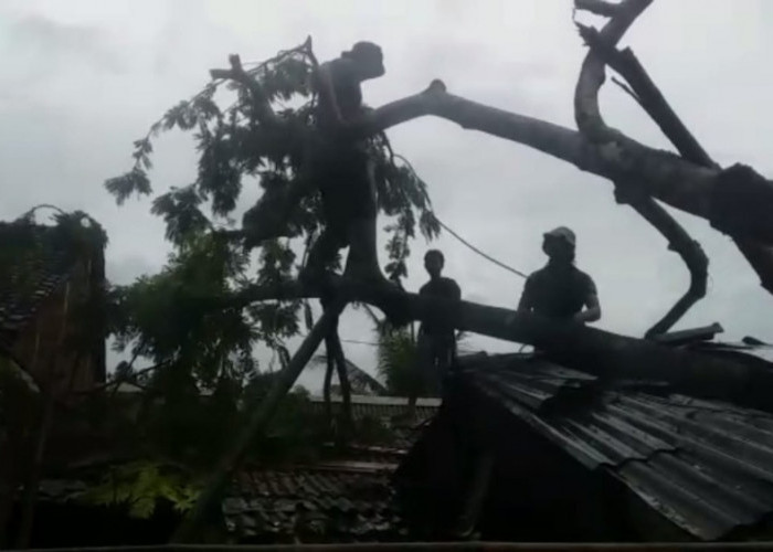 Angin Ribut Amuk 3 Desa di Purbalingga, Ini Dampak Sementara