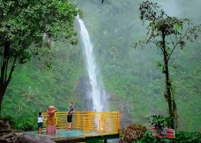 Curug Cipendok, Pesona Air Terjun Eksotis di Lereng Gunung Slamet