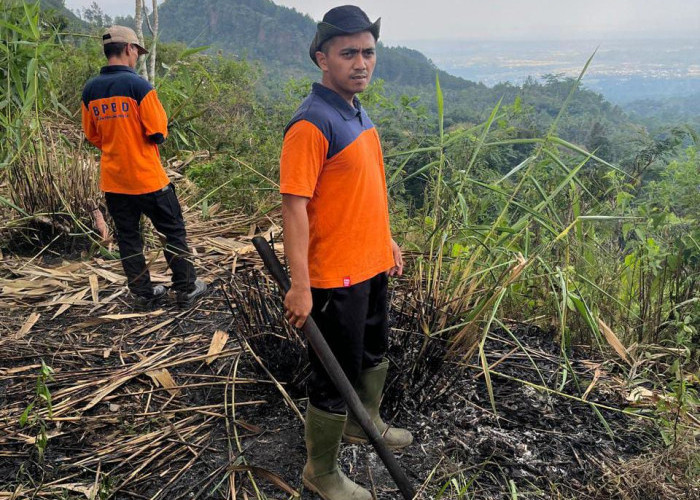 Karhutla Kembali Terjadi di Purbalingga, Dua Hektare Lahan Perhutani di Sangkanayu Terbakar