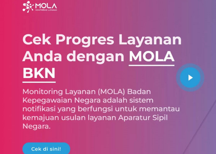 Cara Cek NIP PPPK Paruh Waktu, Mudah dan Praktis Lewat Mola BKN!