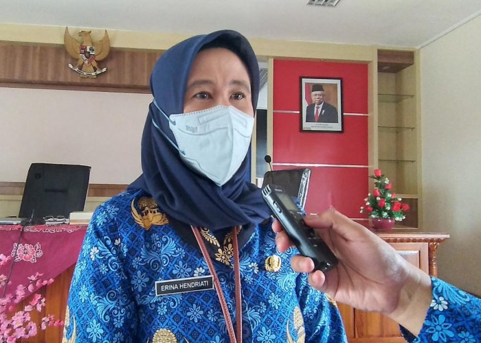  DPPKB3A Tingkatkan Kapasitas dan Produktivitas untuk Banyumas Ramah Perempuan dan Anak