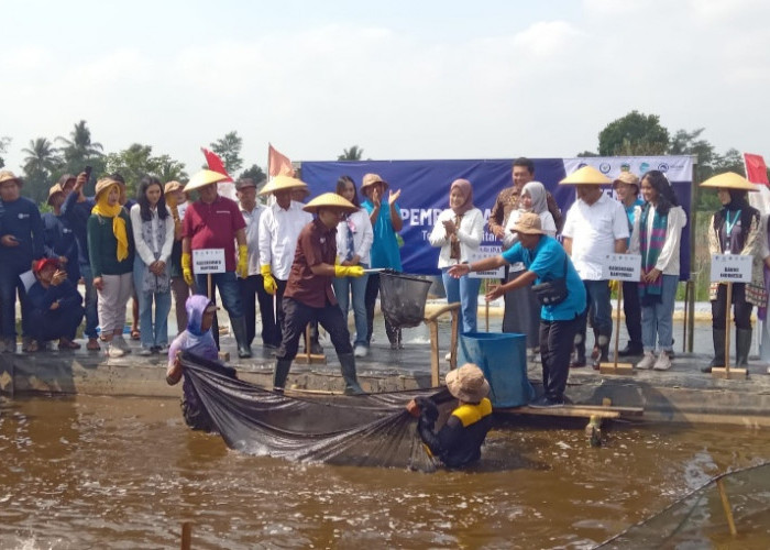 Kabupaten Banyumas Jadi Pilot Project Penerapan Budidaya Ikan Go Digital