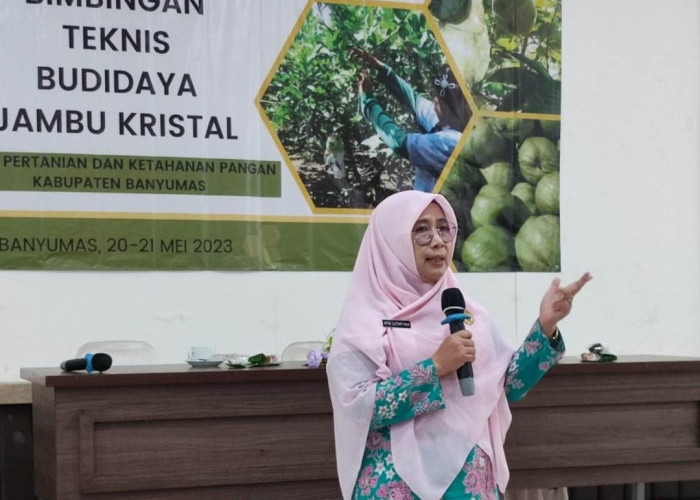 Atik Luthfiyah Fasilitasi Bimtek dan Salurkan Bantuan Bibit Jambu Kristal Serta Pembangunan Greenhouse 