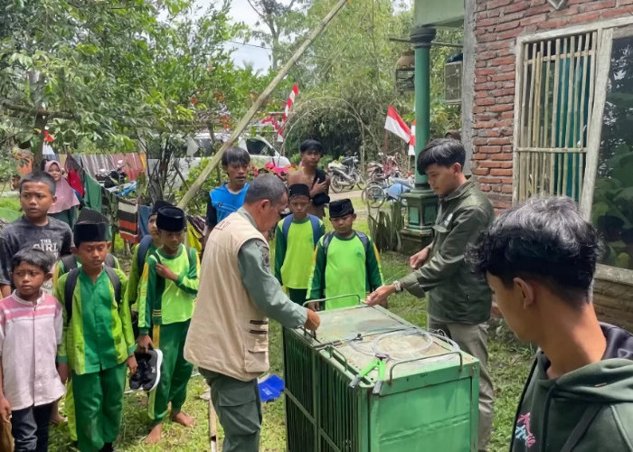 BKSDA Amankan Beruk Liar yang Serang Pemiliknya di Sidareja, Cilacap