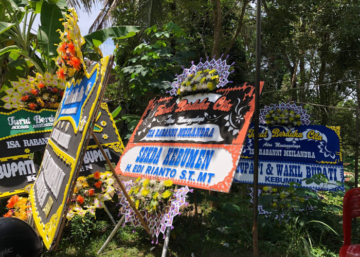 Balita Meninggal Usai Operasi Bibir Sumbing Gratis