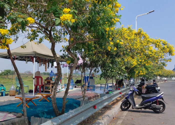 565 UMKM Bung Karno Ditata Serentak, Pemkab Banyumas Andalkan Dana CSR
