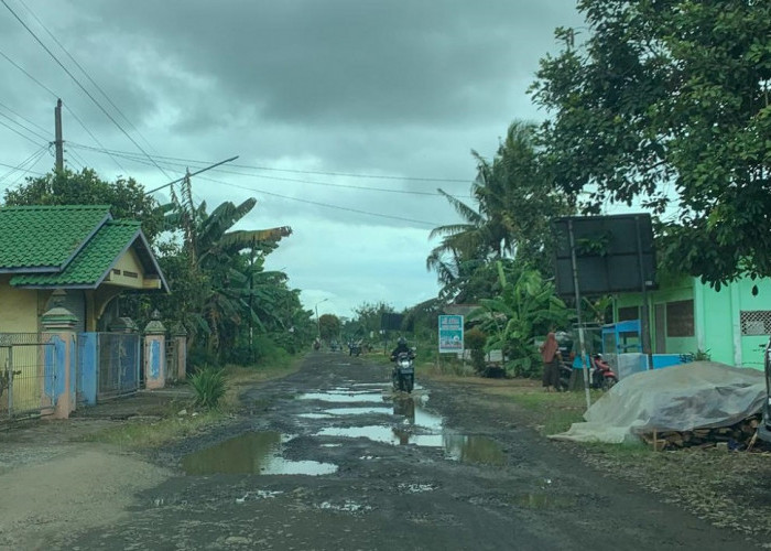 Jalan Kabupaten di Desa Gentasari Kroya Rusak Parah, Empat Tahun Tak Tersentuh Perbaikan 