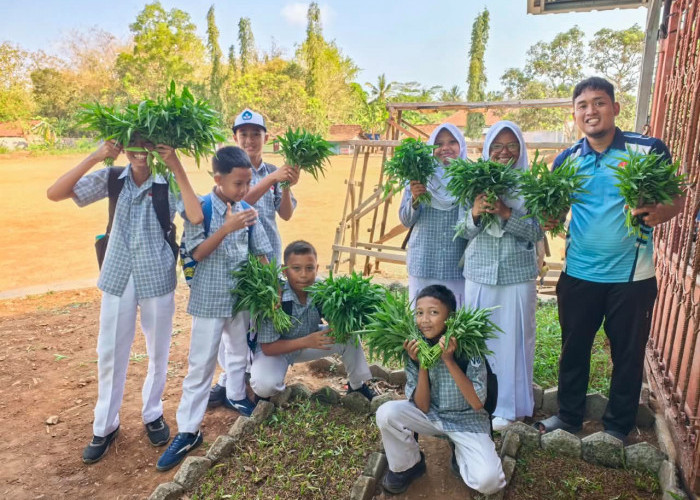 SMPN 3 Kroya Peduli Lingkungan, Tanam Sayuran di Galon Bekas