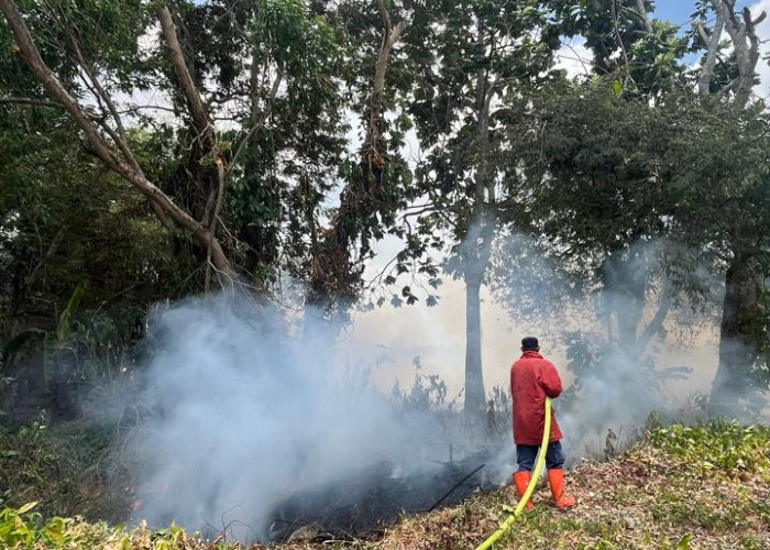 Bakar Sampah Tanpa Pengawasan Picu Kebakaran Lahan Sokaraja, Angin Kencang Percepat Api Meluas 