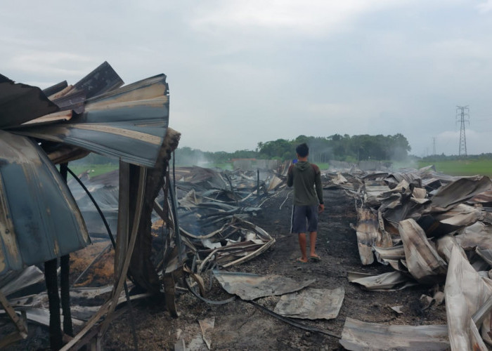 Diduga Korsleting, 2 Kandang Ayam di Kebumen Ludes 