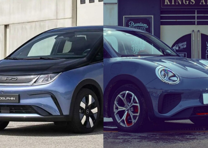 Intip Perbandingan GWM Ora 03 dan BYD Dolphin dengan Harga Sama, Mobil Listrik Mana yang Lebih Unggul?