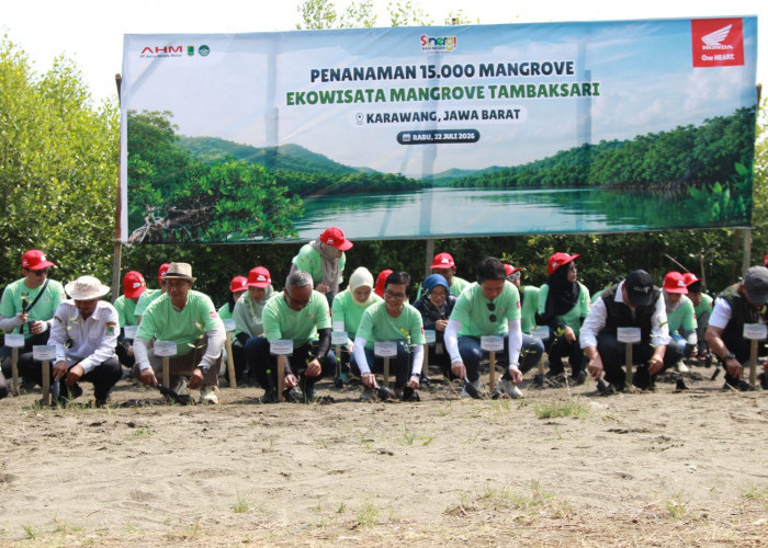 Dukung Konservasi Pesisir, AHM Hijaukan Karawang dengan 15.000 Pohon Mangrove 