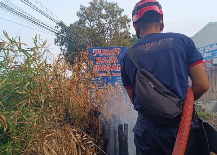 Diduga Dibakar ODGJ, Lahan di Jalan Raya Purbalingga-Bobotsari Terbakar hingga Ganggu Lalu Lintas