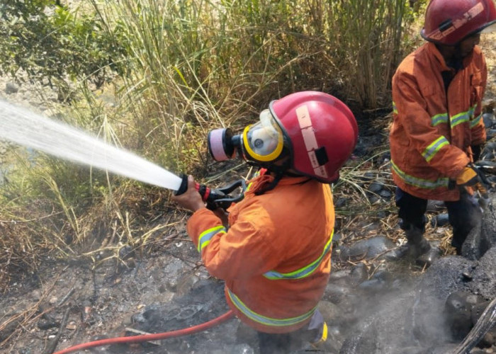 Dua Kebakaran Lahan Terjadi Beruntun di Purbalingga, Gara-gara Warga Bakar Sampah