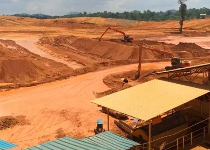 Pimpinan MIND ID Ungkap Positifnya Dampak Hilirisasi di Indonesia