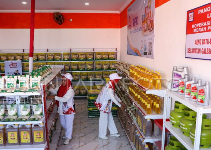 Cek Daftar Unit Usaha Koperasi Merah Putih, Ada Apotek Hingga Gerai Sembako Murah