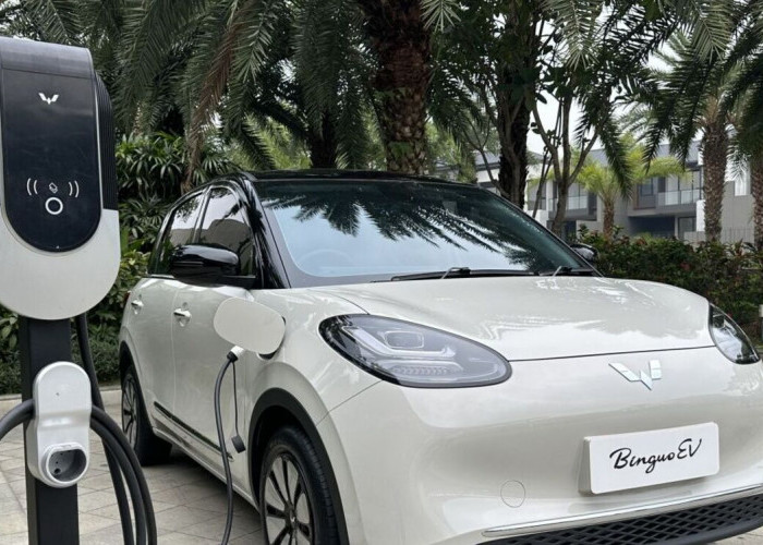 Cicilan Mulai Rp7 Jutaan! Simulasi Kredit Wuling Binguo EV via BRI Finance