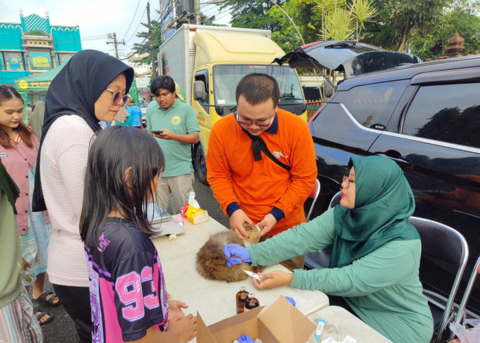 Vaksin Rabies Gratis untuk Hewan Peliharaan di Purbalingga Masih Tersedia, DPPP Catat Sisa 100 Dosis