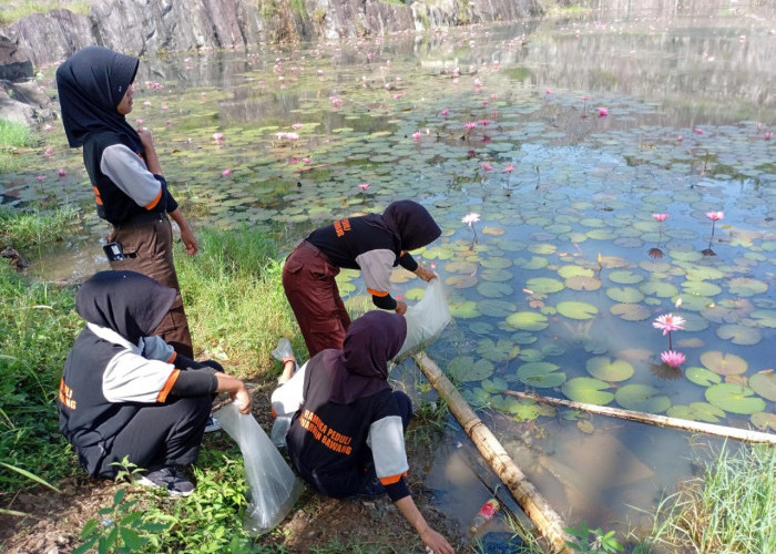 2.000 Benih Ikan Nila Ditebar di Tampomas, Pramuka Dorong Rehabilitasi Ekosistem Perairan