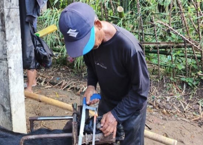 Jasa Salon Kambing di Pasar Hewan Karangpucung Cilacap Laris Manis 