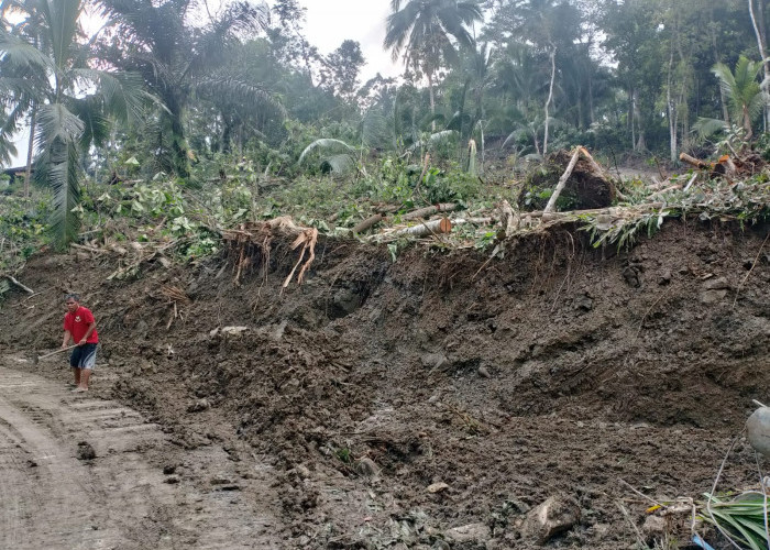 233 Bencana Terjadi di Banyumas, Longsor Dominasi Awal Tahun