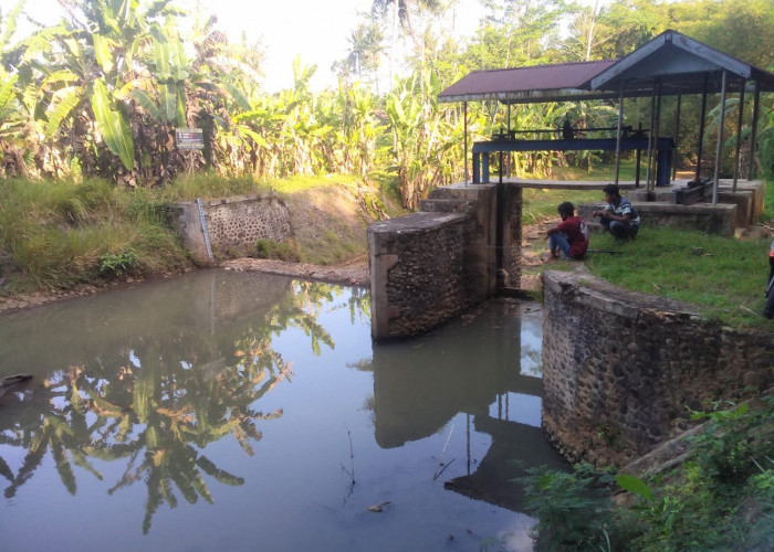 Debit Air Berkurang, Pengairan Bendung Sengon ke 89 Hektare Sawah Dijadwal