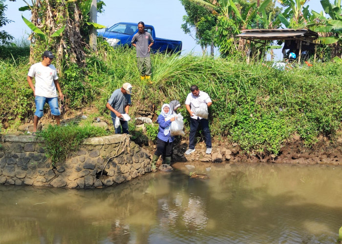 DPPP Temukan Kadar Amonia Tinggi di Sungai Ponggawa, Diduga Akibat Sampah Organik dan Limbah Rumah Tangga