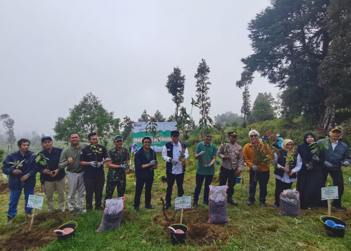 Sedimentasi Waduk Mrica Capai 4 Juta Meter Kubik per Tahun, Reforestasi DAS Serayu Jadi Harapan