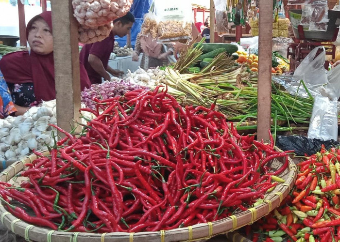 Awal Ramadan, Harga Komoditas Cabai Melejit, Cabai Rawit Merah Tembus Rp 104 Ribu Per Kilogram